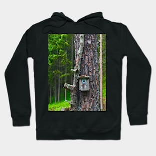 Birdhouse on Tree Hoodie